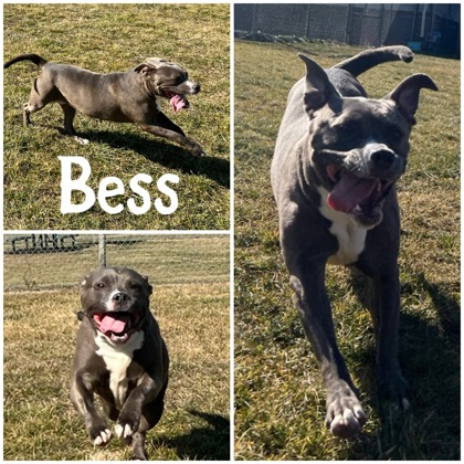 Photo of Bess