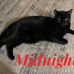 Photo of Midnight