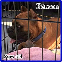 Thumbnail photo of Benson #1