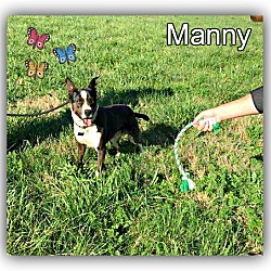 Thumbnail photo of Manny Pants #2