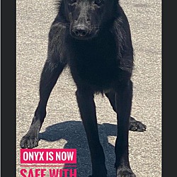 Photo of ONYX