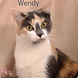 Thumbnail photo of Wendy #4