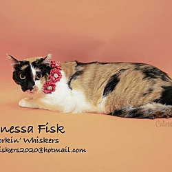 Thumbnail photo of VANESSA FISK #3
