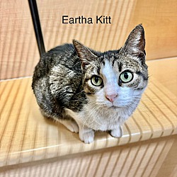 Thumbnail photo of Eartha Kitt #3