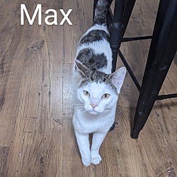 Photo of Max and Ruby (Max)