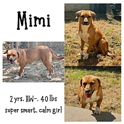 Thumbnail photo of Mimi #1