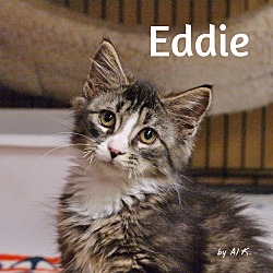 Photo of Eddie
