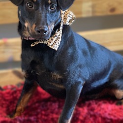 Photo of Prada