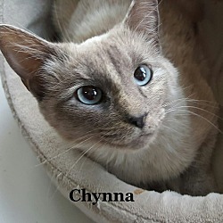 Thumbnail photo of Chynna #1