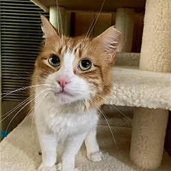 Photo of Coco