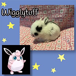 Thumbnail photo of Wigglytuff #4