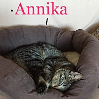 Photo of Annika