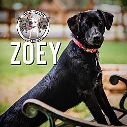 Photo of Zoey Zhanna Zharra Aldine