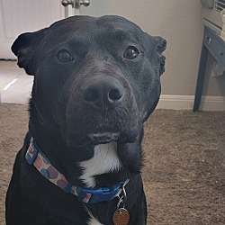 Photo of Jack