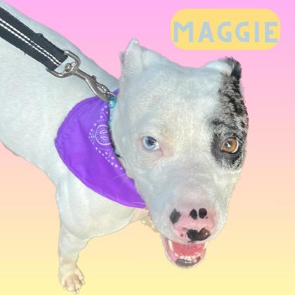 Photo of Maggie Boaggins