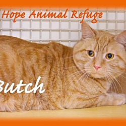 Thumbnail photo of Butch #1