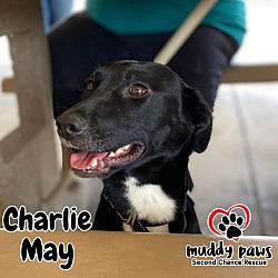 Thumbnail photo of Charlie May #2