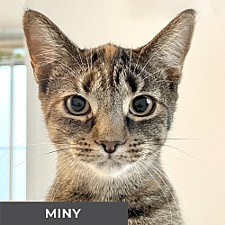 Photo of Miny