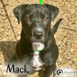 Thumbnail photo of Mack #2