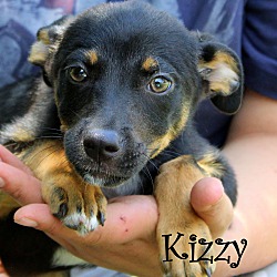 Thumbnail photo of Kizzy~adopted! #4