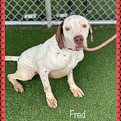 Thumbnail photo of FRED #4