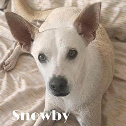 Thumbnail photo of Snowby #2