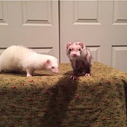 Photo of Thelma and Louise