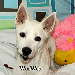 Thumbnail photo of WooWoo #1