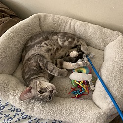 Photo of Gia