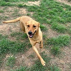 Photo of Addie