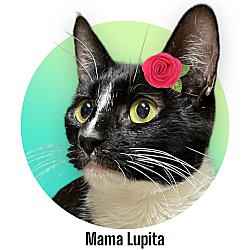 Photo of Mama Lupita