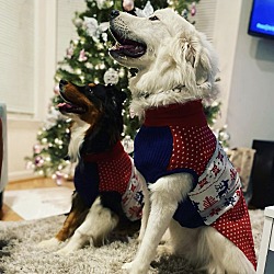 Photo of Dallas and Luka