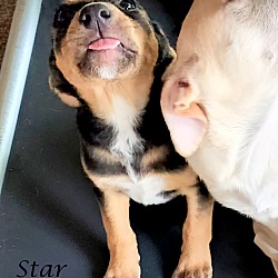 Thumbnail photo of Star ~ meet me! #1