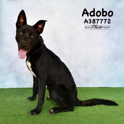 Photo of ADOBO
