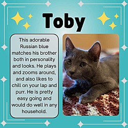 Thumbnail photo of Toby #1