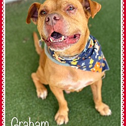 Thumbnail photo of GRAHAM #1