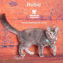 Photo of RUBIE