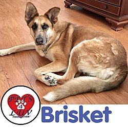 Photo of Brisket