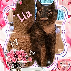 Photo of Lia