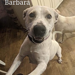 Thumbnail photo of Barbara #1