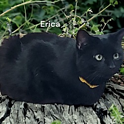 Photo of Erica