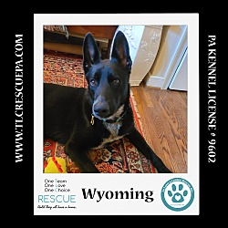 Photo of Wyoming 062224