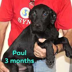 Thumbnail photo of Paul #2