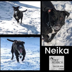 Thumbnail photo of Neika #2