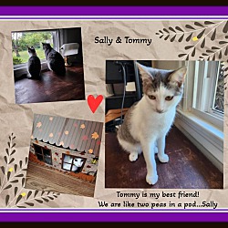Thumbnail photo of Sally bonded w/ Tommy #1