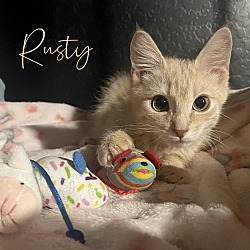 Thumbnail photo of Rusty #1