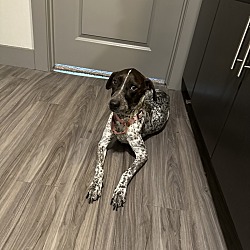 Photo of Dottie