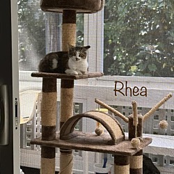 Photo of Rhea