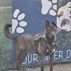 Photo of Odin