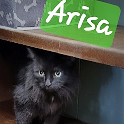 Photo of Arisa